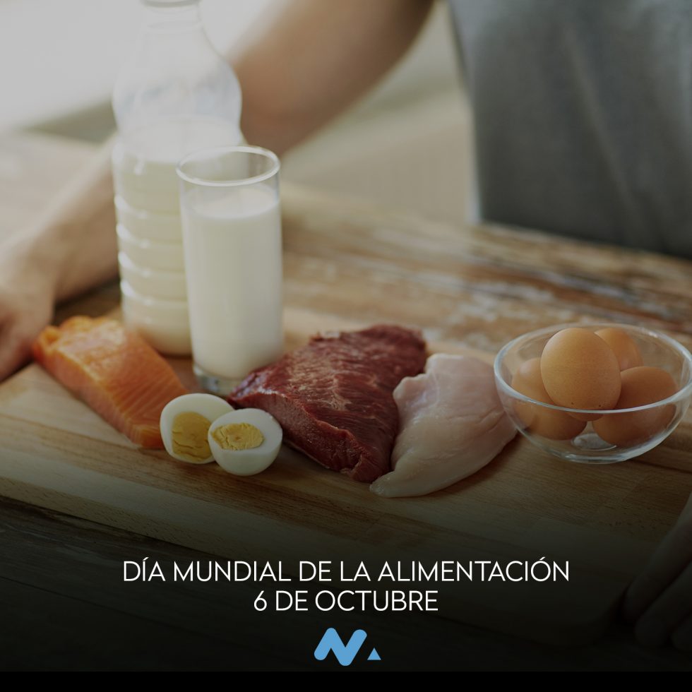 alimentación deportiva